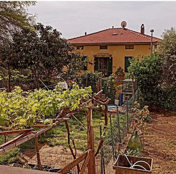 Casa Vacanze Toscana,Lago Di Massaciuccoli Eksteriør bilde