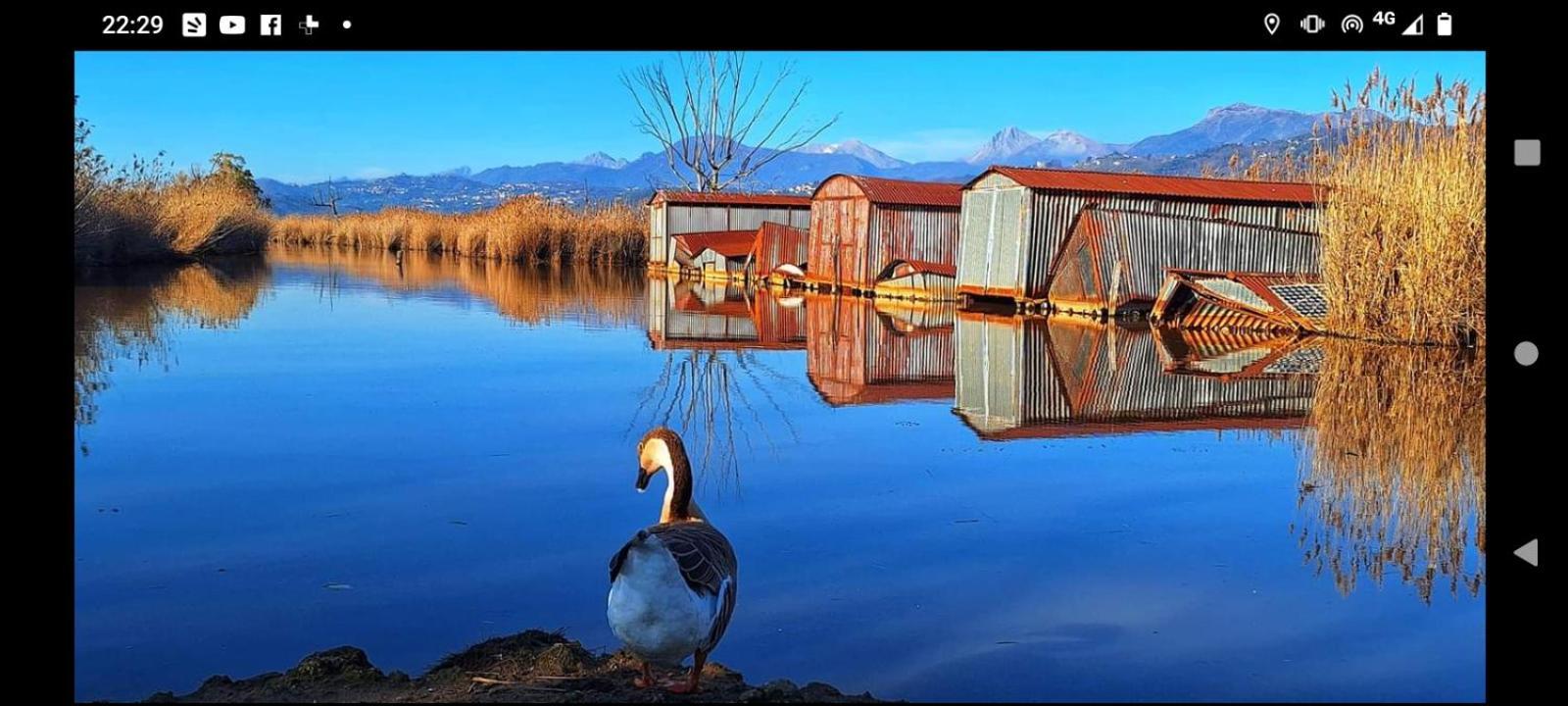 Casa Vacanze Toscana,Lago Di Massaciuccoli Eksteriør bilde