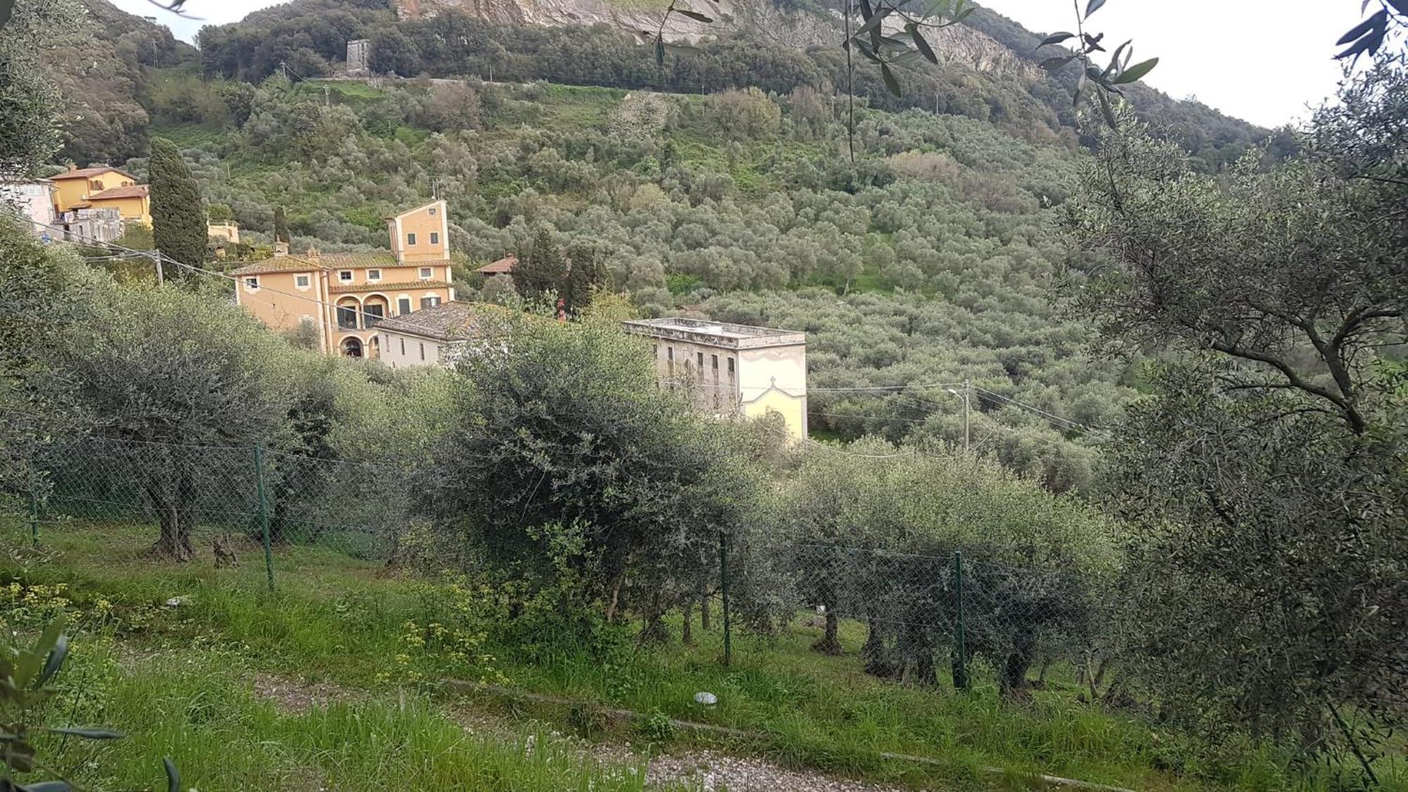 Casa Vacanze Toscana,Lago Di Massaciuccoli Eksteriør bilde