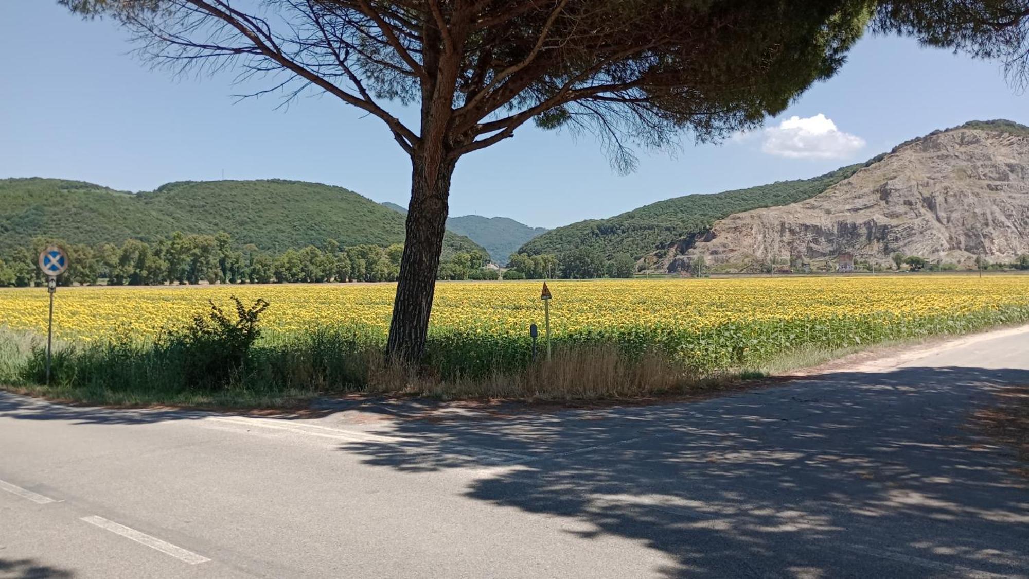Casa Vacanze Toscana,Lago Di Massaciuccoli Eksteriør bilde
